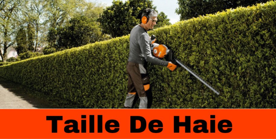 service de taillage de haies sur Tours