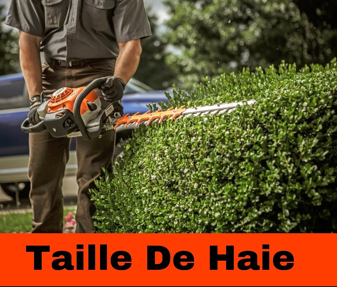 Screenshot service de taillage de haies sur Tours